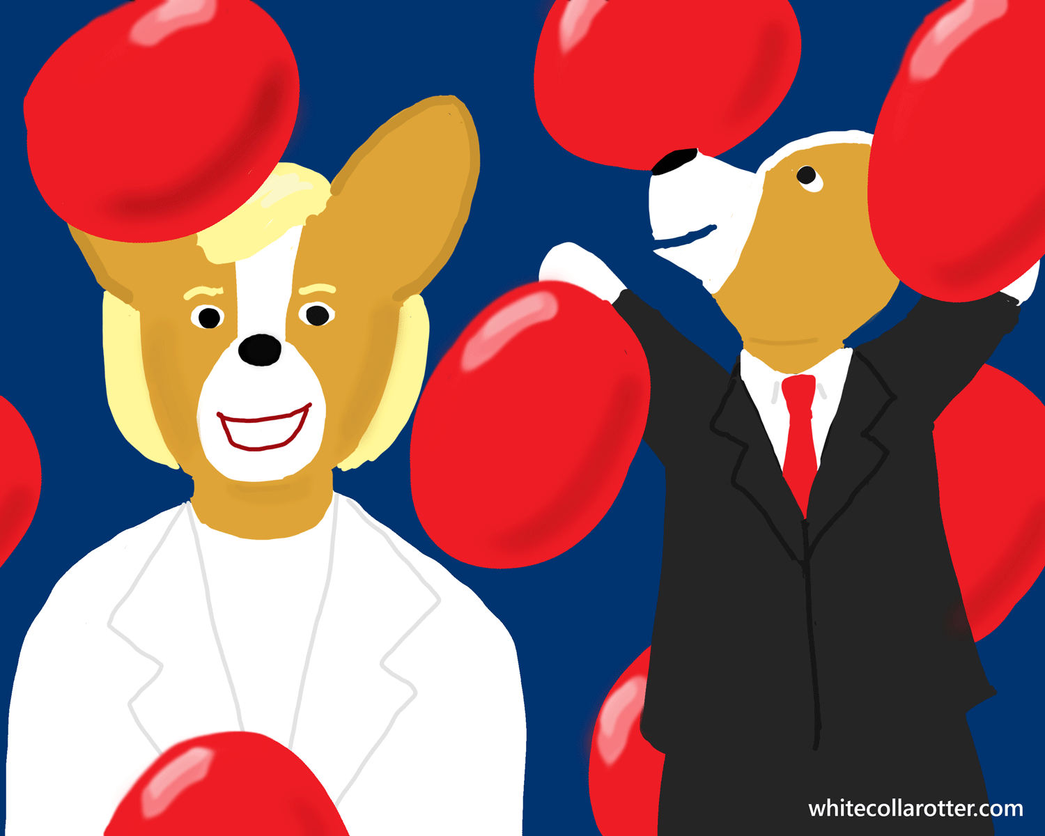 Corgi Clintons with Balloons